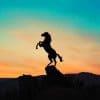 Horse Jumping Silhouette paint by number