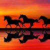 Horses Running Silhouette paint by numbers