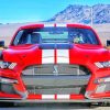 Shelby Mustang Car paint by numbers