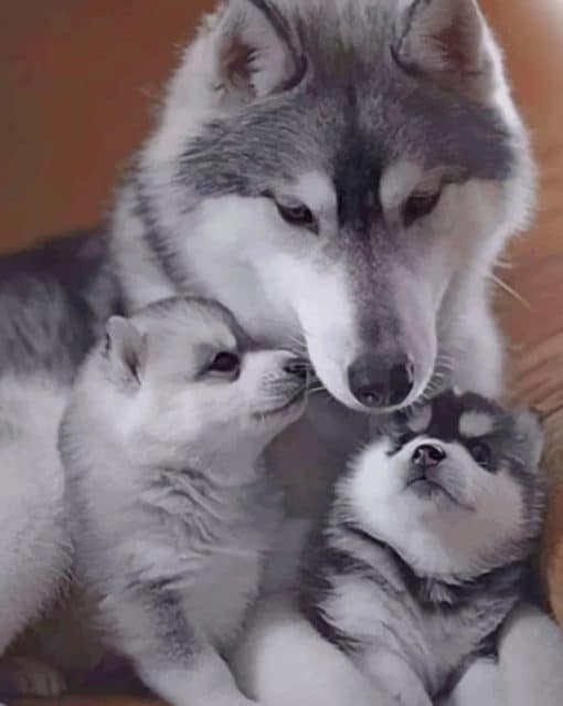 Husky Family paint by numbers