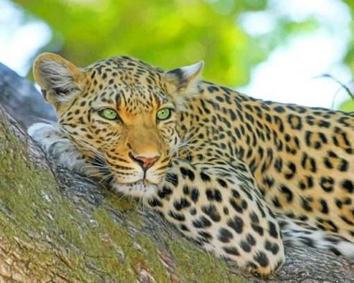 Indian Leopard paint by number