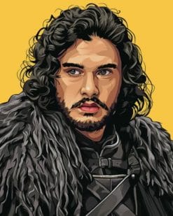 Jon Snow Illustration paint by numbers