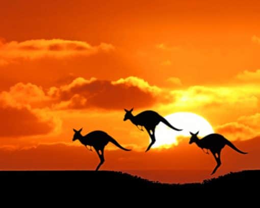 Kangaroos Silhouette paint by number