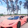 Pink Lamborghini paint by numbers