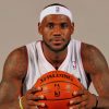 LeBron James Basketball Player paint by number