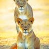Lionesses In The Wild paint by numbers