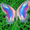 Beautiful Magical Butterfly paint by number
