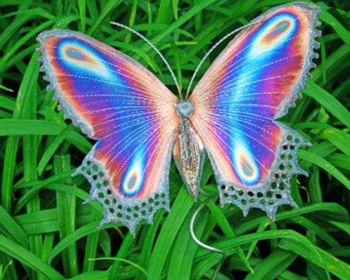 Beautiful Magical Butterfly paint by number