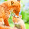 Mom And Baby Fox paint by numbers