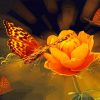 Orange Flower And Butterflies paint by number
