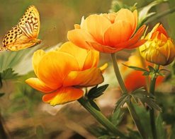 Orange Flowers With Butterfly paint by number