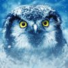 Owl In Snow paint by number