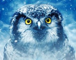 Owl In Snow paint by number