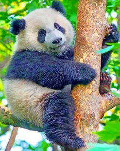 Panda On Tree paint by numbers