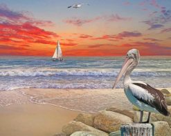 Pelican Birds Beach paint by number