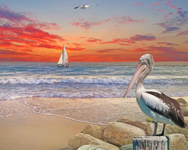 Pelican Birds Beach paint by number