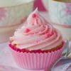Pink Cupcake paint by numbers