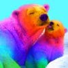 Rainbow Bears paint by numbers