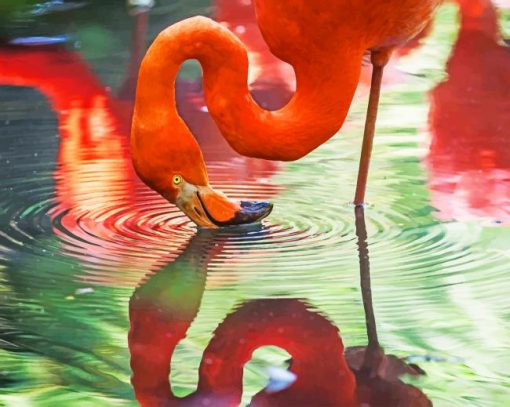 Red Flamingo Bird paint by number