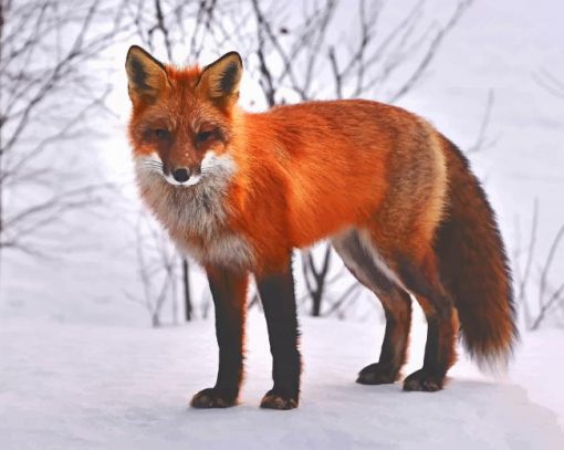 Red Fox In Snow paint by number