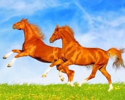 Running Red Horses paint by number