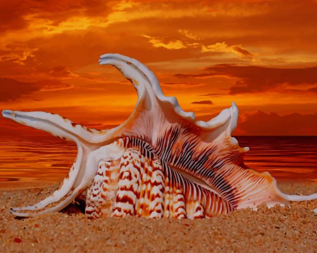 Sea Shell Sunset paint by number