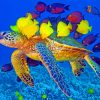Sea Turtle With Fishes paint by number