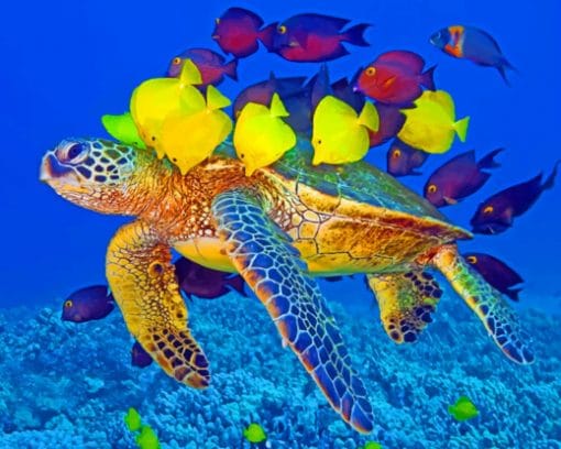 Sea Turtle With Fishes paint by number