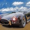 Shelby Cobra Car paint by number