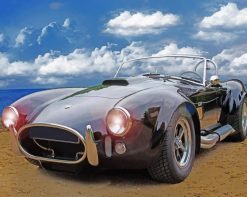 Shelby Cobra Car paint by number