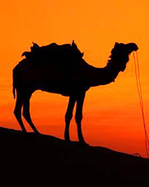 Silhouette Of Camel paint by numbers