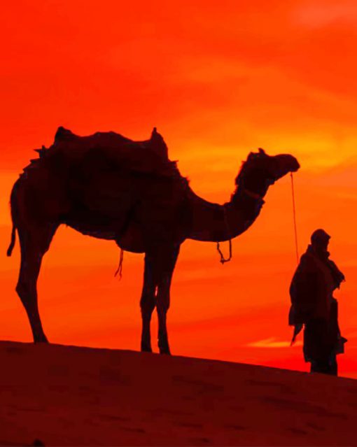Silhouette Of Desert Camel Ride paint by numbers
