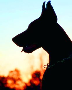 Silhouette Of Doberman paint by numbers