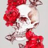 Skull With Butterfles And Flowers paint by numbers