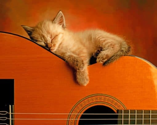 Sleepy Kitten On Guitar paint by number