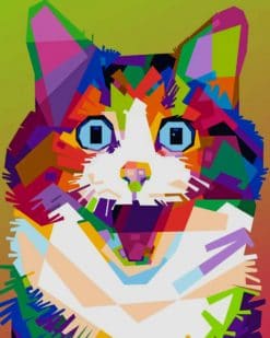 Suprised Cat Pop Art paint by numbers