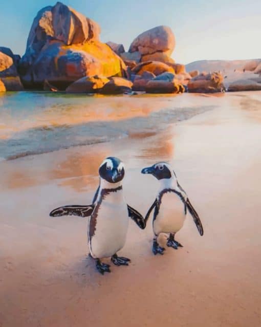 Penguins On The Beach paint by nnumbers