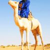 Tuareg On Camel In Desert paint by numbers