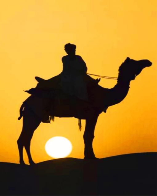 Woman Riding A Camel Silhouette paint by numbers
