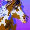Aesthetic Horse Paint by numbers