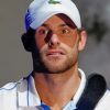 Andy Roddick paint by numbers