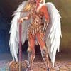 Angel Girl Warrior paint by numbers