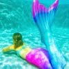 Blue And Pink Mermaid Tail paint by numbers
