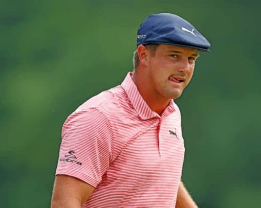 Bryson DeChambeau Player paint by numbers