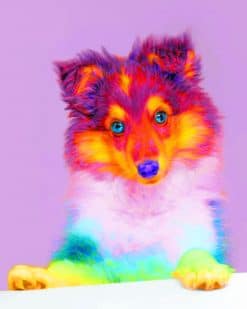 Colorful Pet paint by numbers