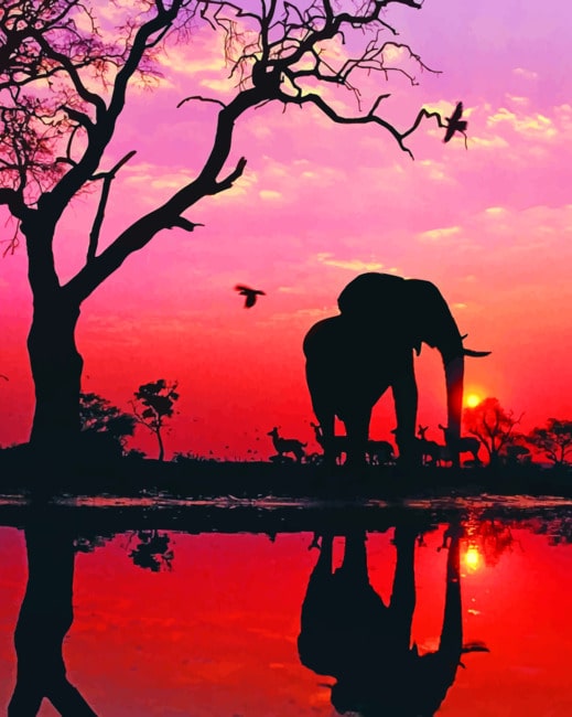 Elephant Silhouette paint by numbers