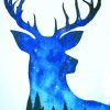 Galaxy Deer Art paint by numbers