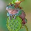 Green Eyed Treefrogs Paint by numbers