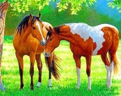 Horses In Farm paint by numbers