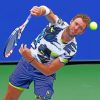 Jack Sock Player paint by numbers